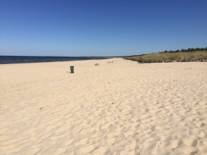 Plaża4